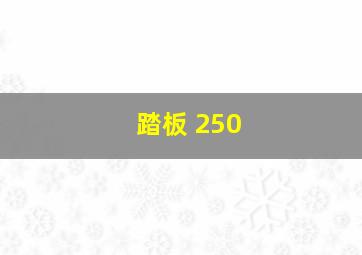 踏板 250